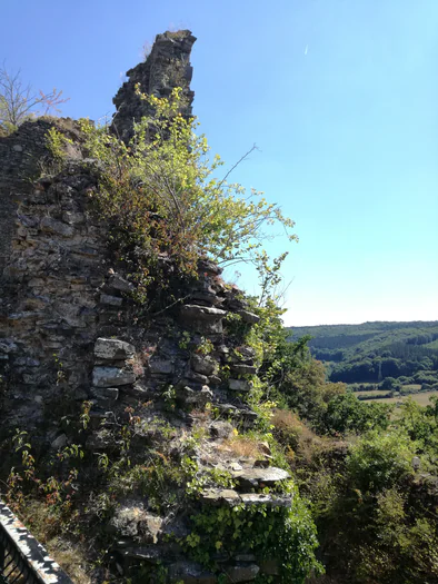 Ruine du chateau Franchimont (Belgique)